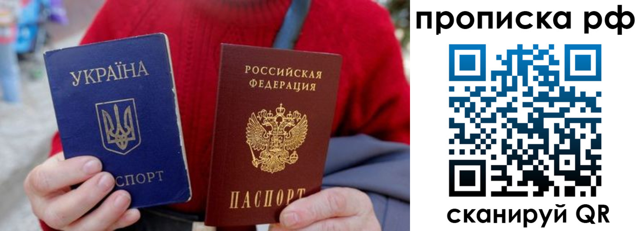 где прописаться в Павловске