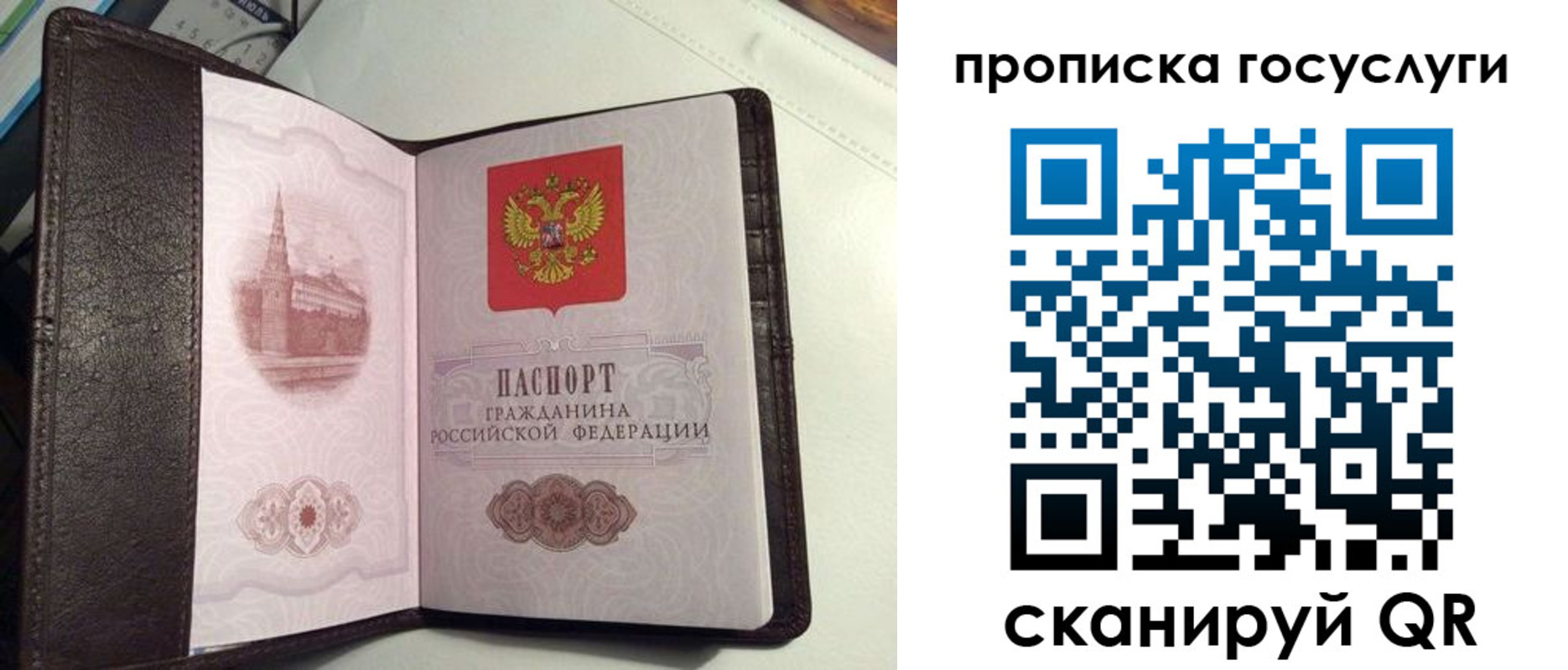временная прописка в Павловске